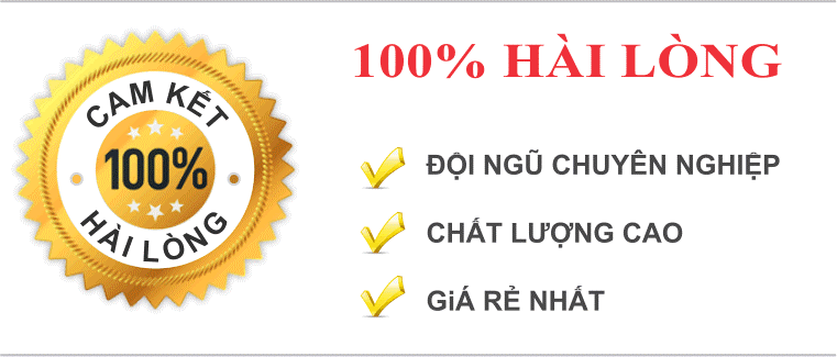 cam ket dich vu giay phep kinh doanh daloctai.com