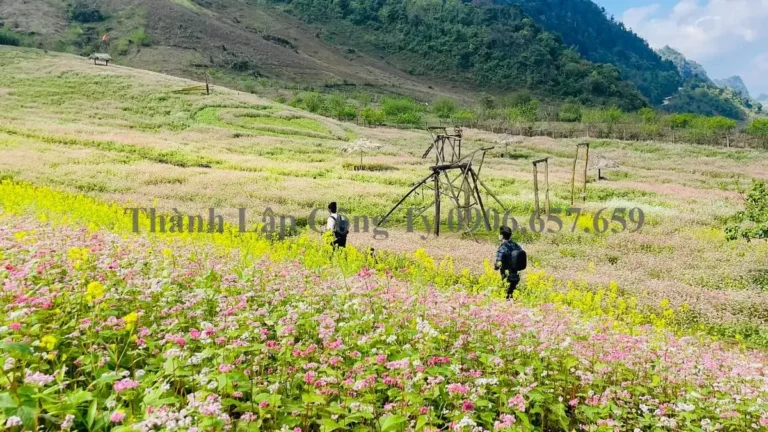 Liên Kết Các Khu Du Lịch Nghỉ Dưỡng, Trải Nghiệm Để Cùng Nhau Phát Triển Cho Vân Hồ và Mộc Châu